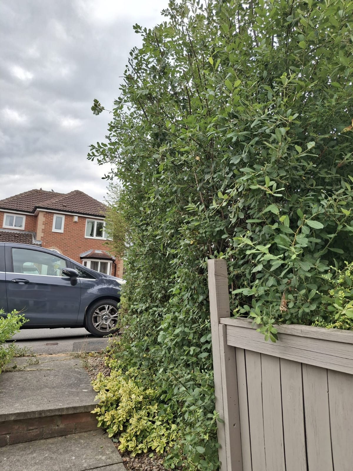After — project 6